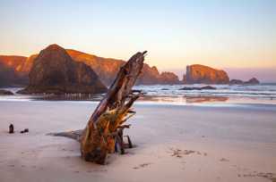 Bandon Beach-3122